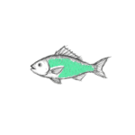 Poisson vert